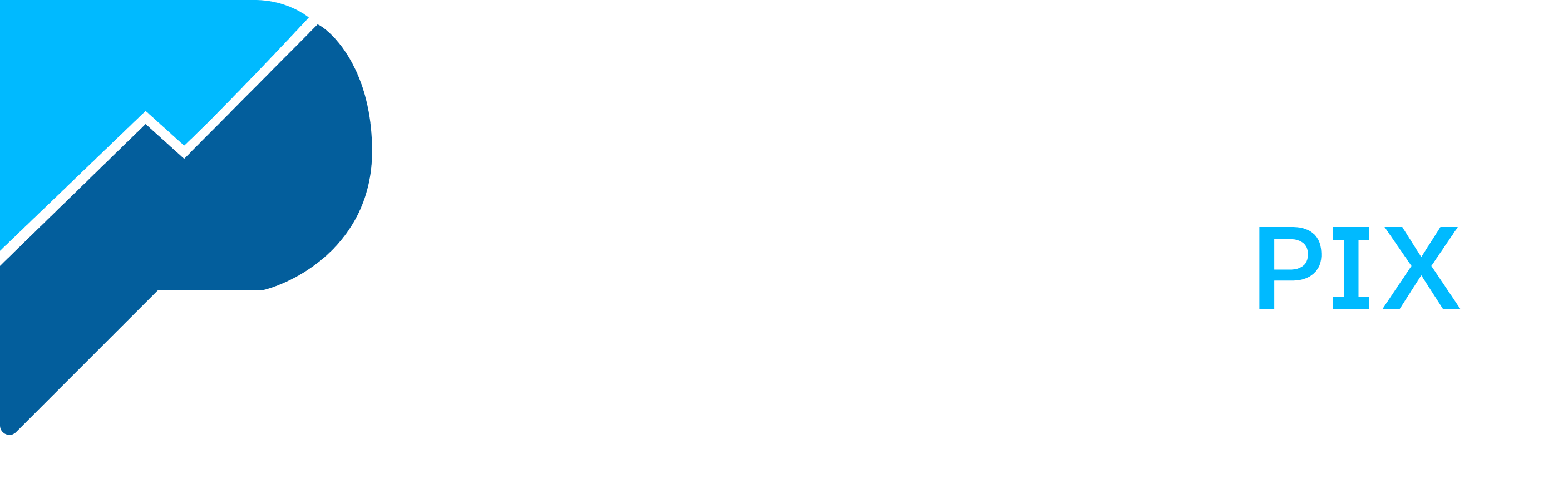 PayerPix